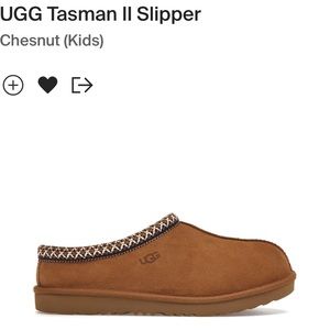 Ugg Tasman